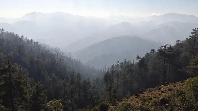 Serra da Enciña: santuario místico y sereno