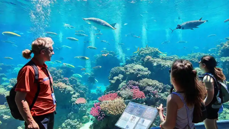 Un acuario vibrante ofrece tours educativos