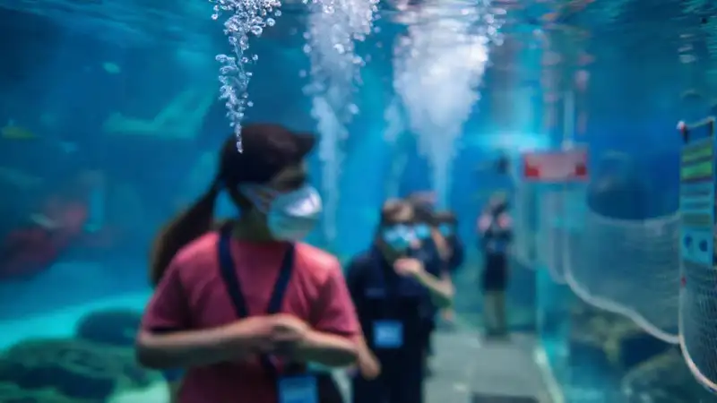 Aquarium Finisterrae: seguridad, belleza y protocolo