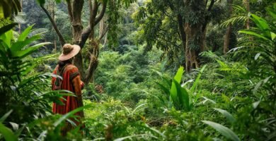Selva exuberante: turismo sostenible y protección