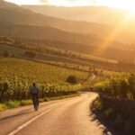 Ourense ofrece un paisaje rural fotogénico