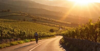 Ourense ofrece un paisaje rural fotogénico