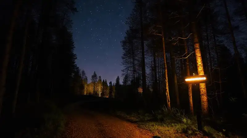 Un sendero nocturno ilumina la noche