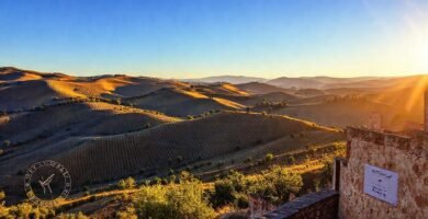 El campo español ofrece vino de calidad