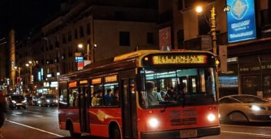 El autobús nocturno ilumina Pontevedra