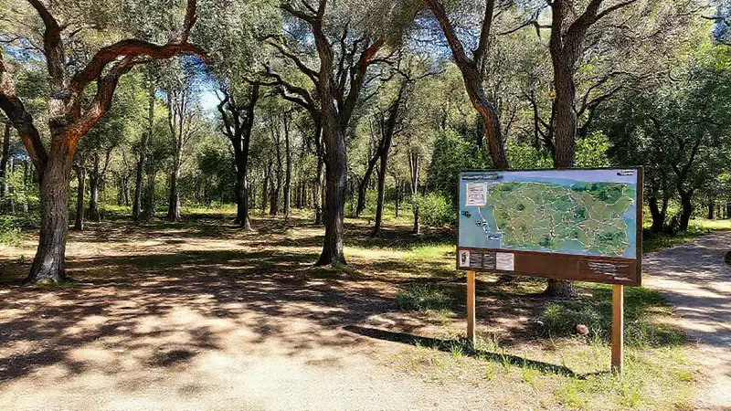El centro forestal invita a explorar
