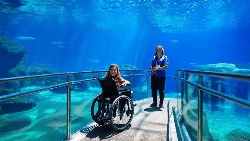 El acuario accesible ofrece experiencias inclusivas brillantes