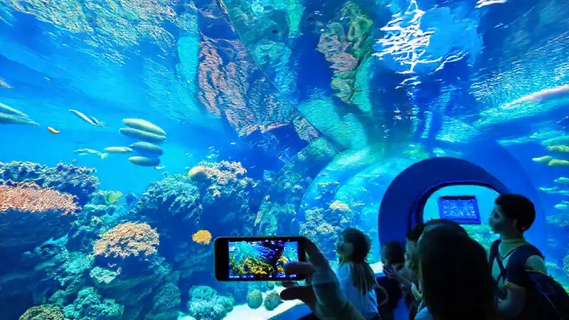 Un acuario moderno cautiva a visitantes felices