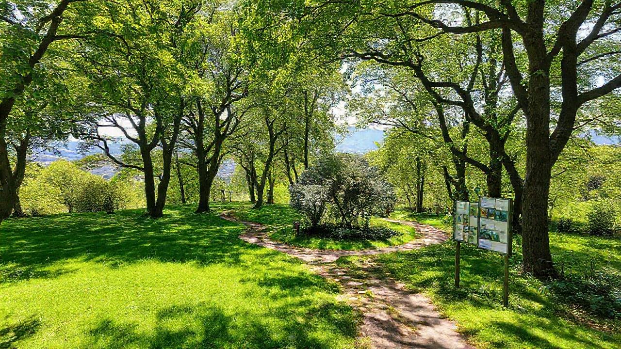 Parque verde de Lugo: belleza y guía