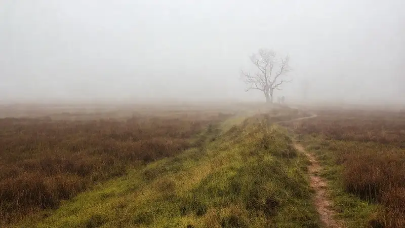 Un paisaje rural español, sereno y misterioso
