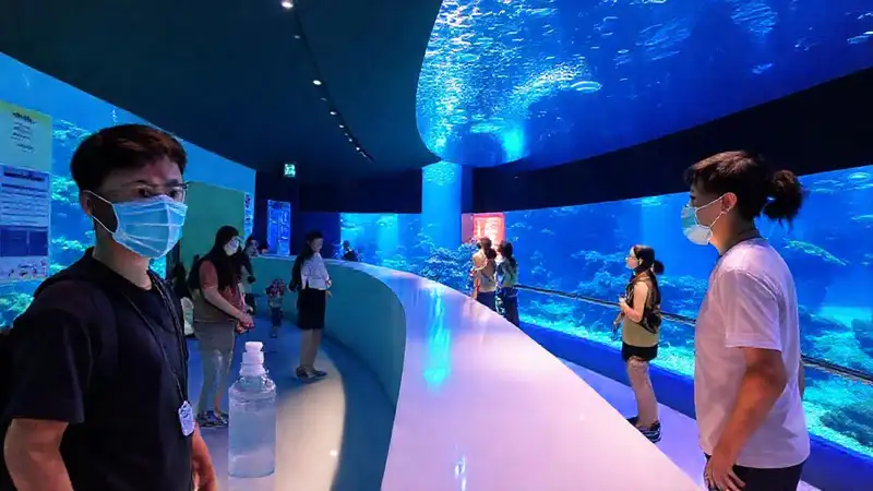Aquarium Finisterrae ofrece visita segura y tranquila