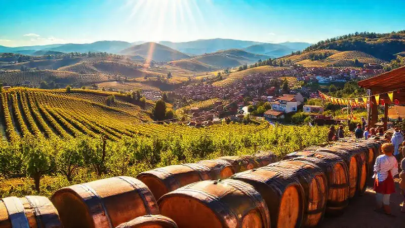 Ourense celebra su vino y sol