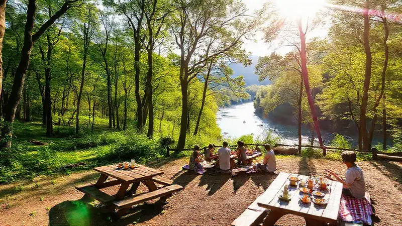 Familia disfruta un picnic en la naturaleza