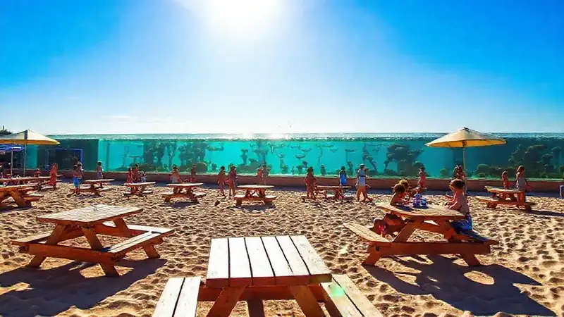 Una playa soleada y alegre