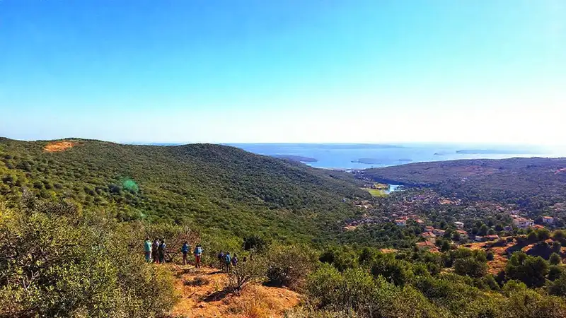 Monte do Gozo: voluntades, bosques y paz