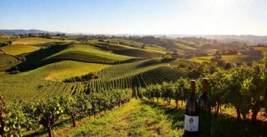 Galicia ofrece paisajes vitivinícolas y rurales