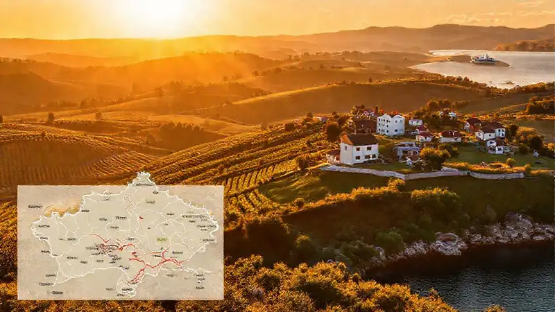 Rías Baixas: vino