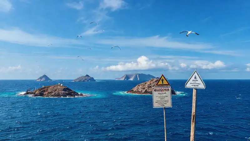 Belleza marina amenazada, pero con esperanza