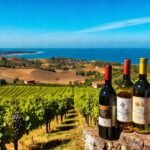 Rías Baixas: viñedos