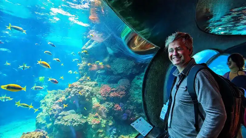 Un acuario submarino vibrante atrae turistas