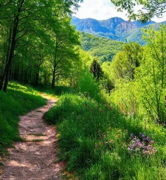 Un sendero verde invita a Lugo