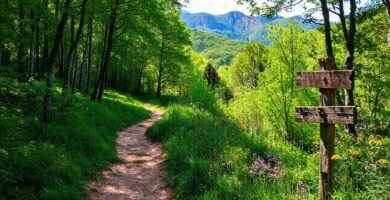 Un sendero verde invita a Lugo